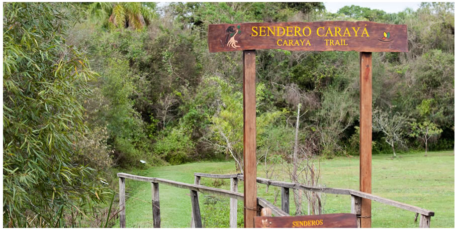 Caminata por los senderos