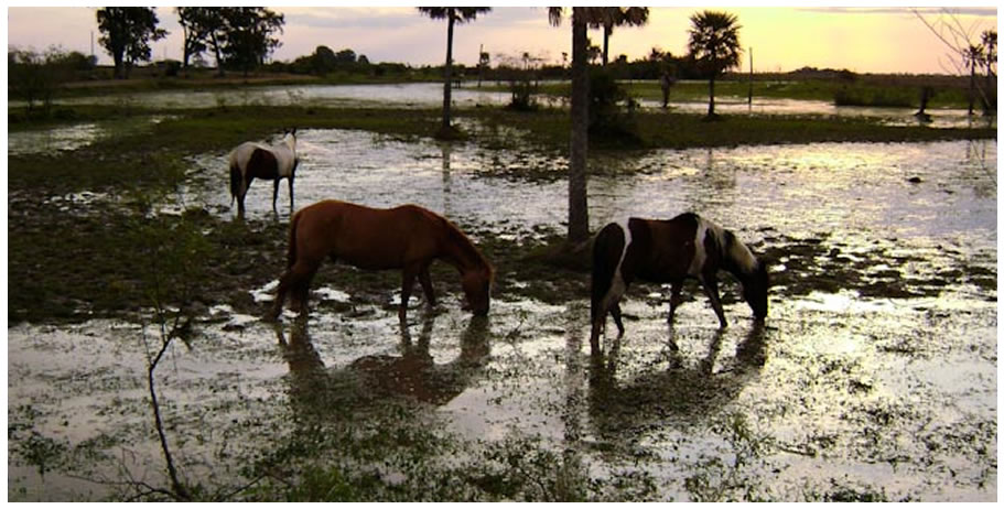 Cabalgata